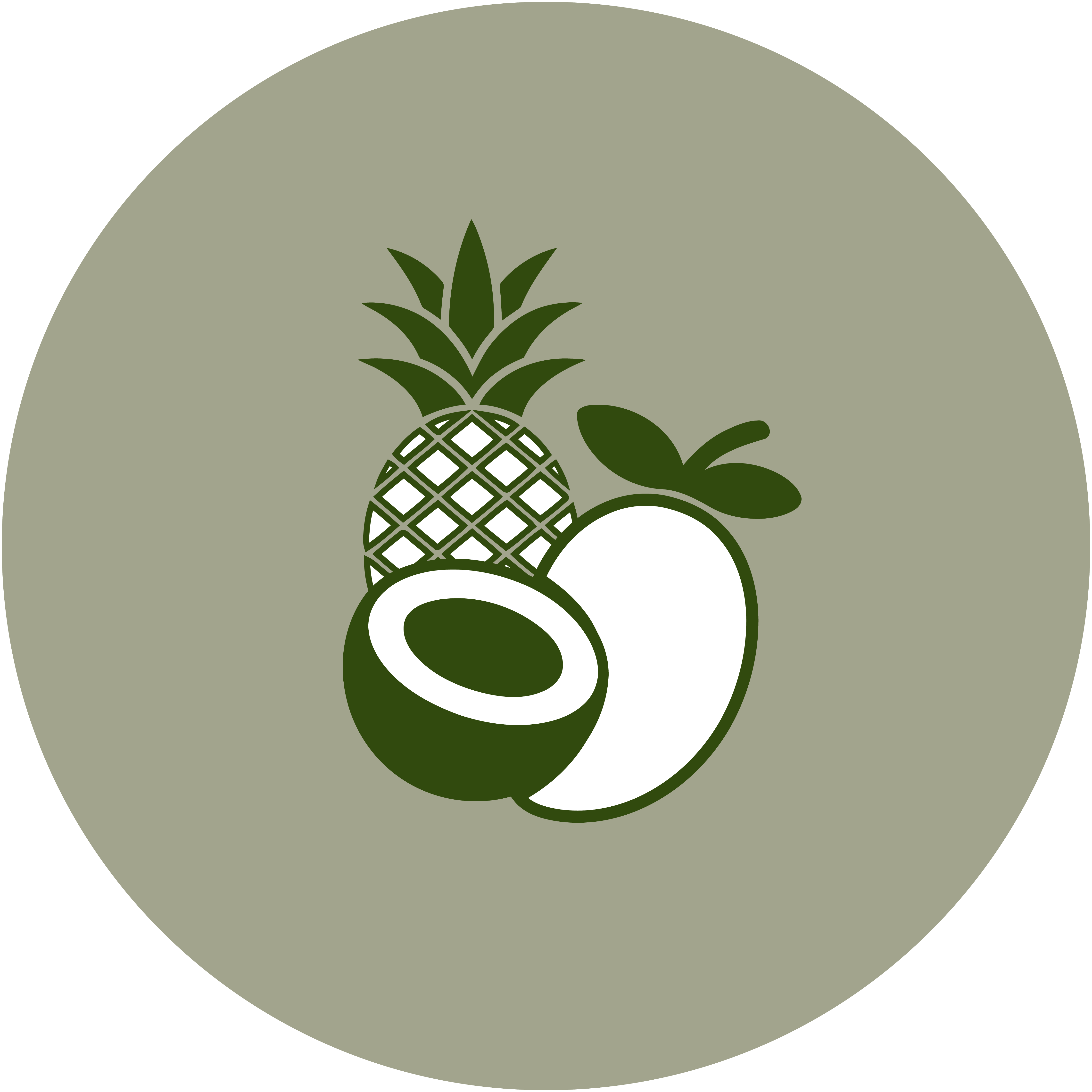 Tropical Fruit